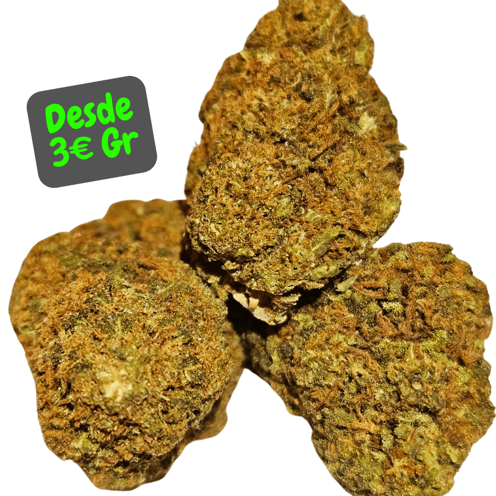 Flores Cbd Caramel Candy