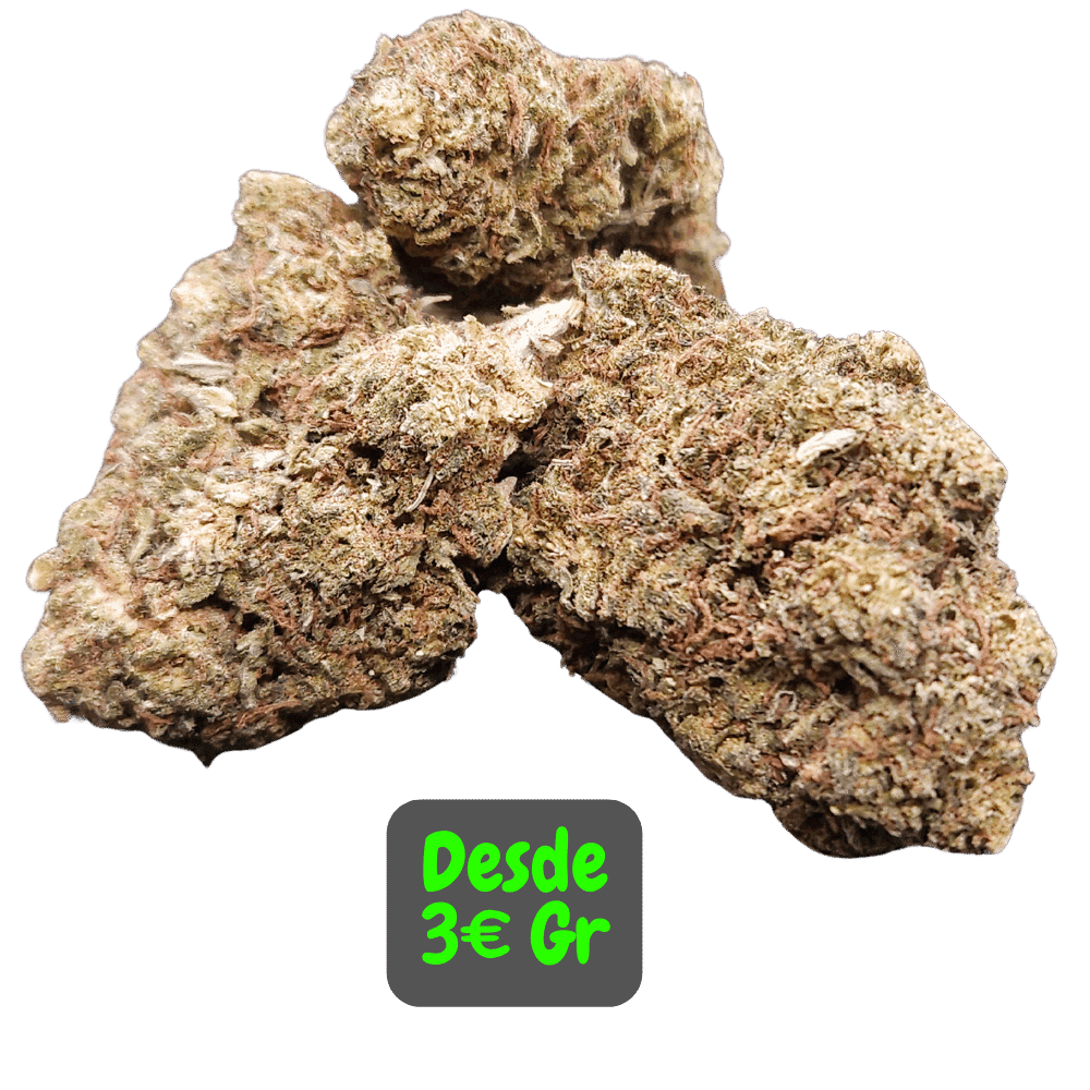 Imagen de las Las Flores Cbd WaterMelon Glass-House de Alex Blond Cbd, son unas flores compactas y resinosas, con un aroma frutado, dulce, y con predominio a la fruta Sandia.