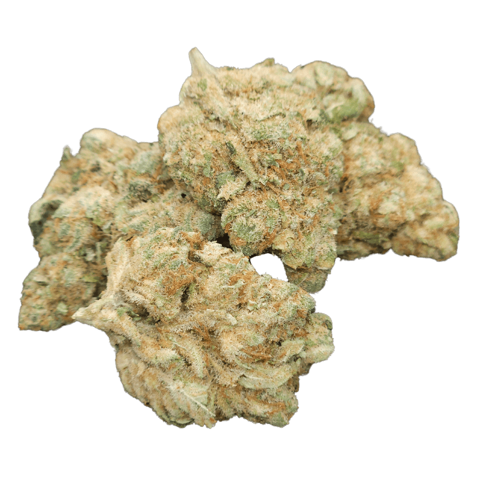 Flores CBD Amnesia Indoor sobre fondo negro.