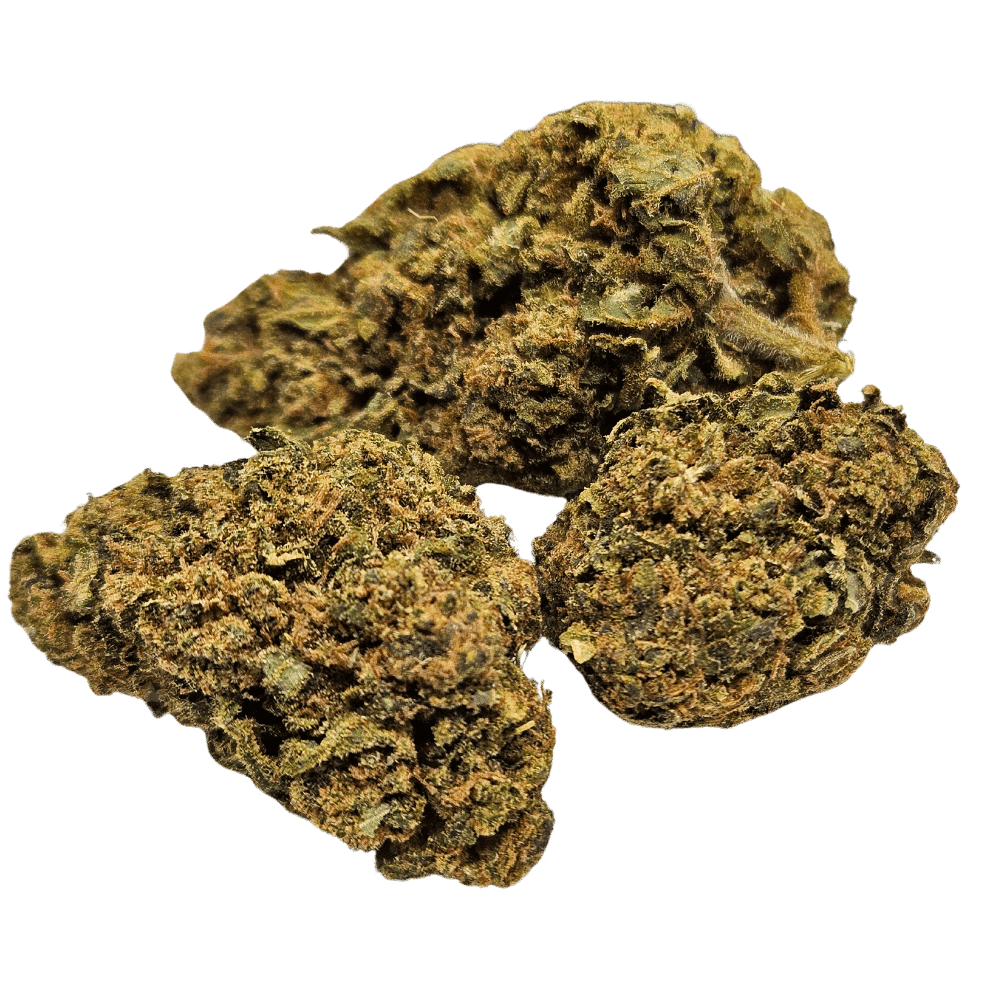 "Flores CBD BubbleGum frescas sobre fondo negro."